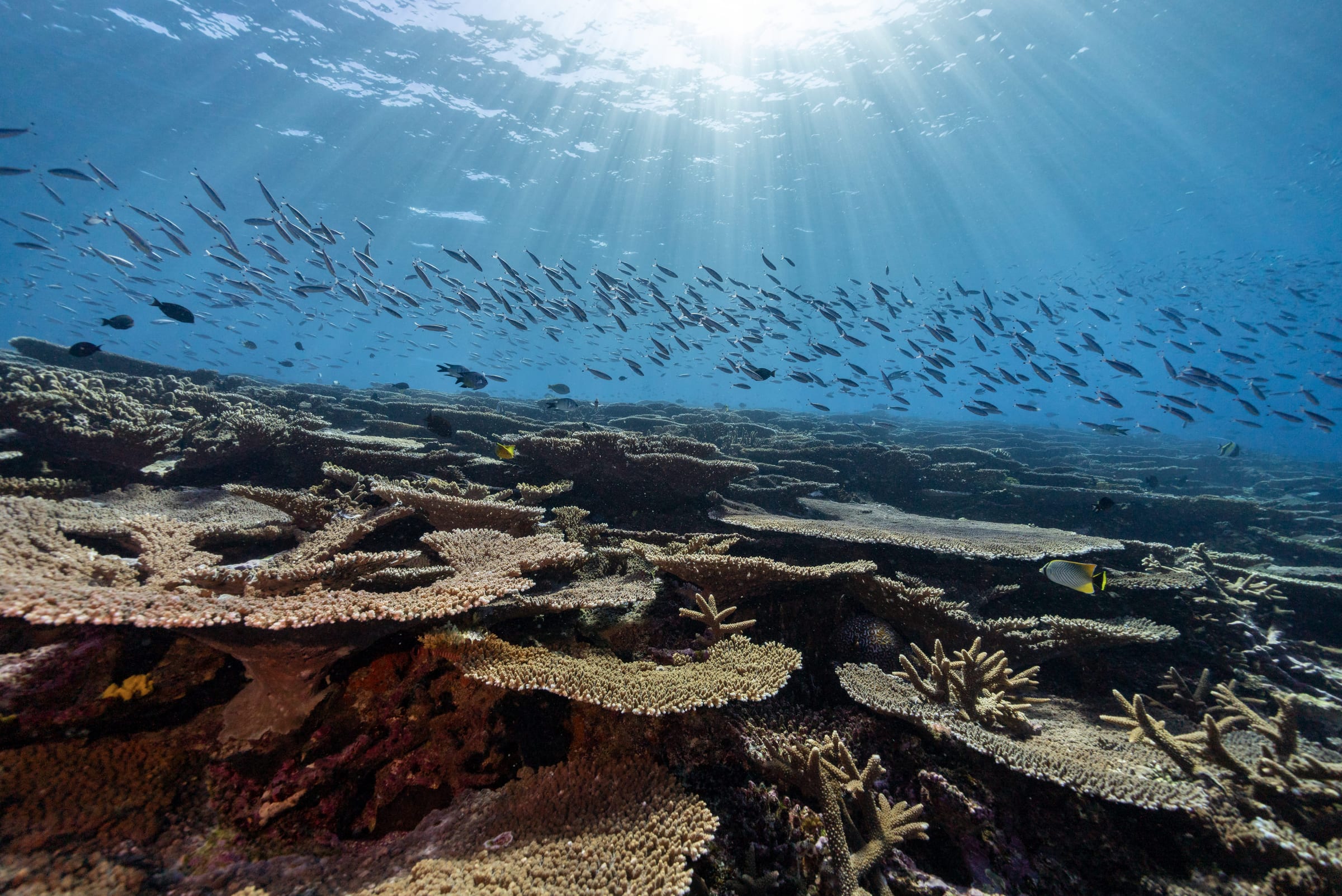 Best Time to Visit Bundaberg QLD: Month-by-Month Guide