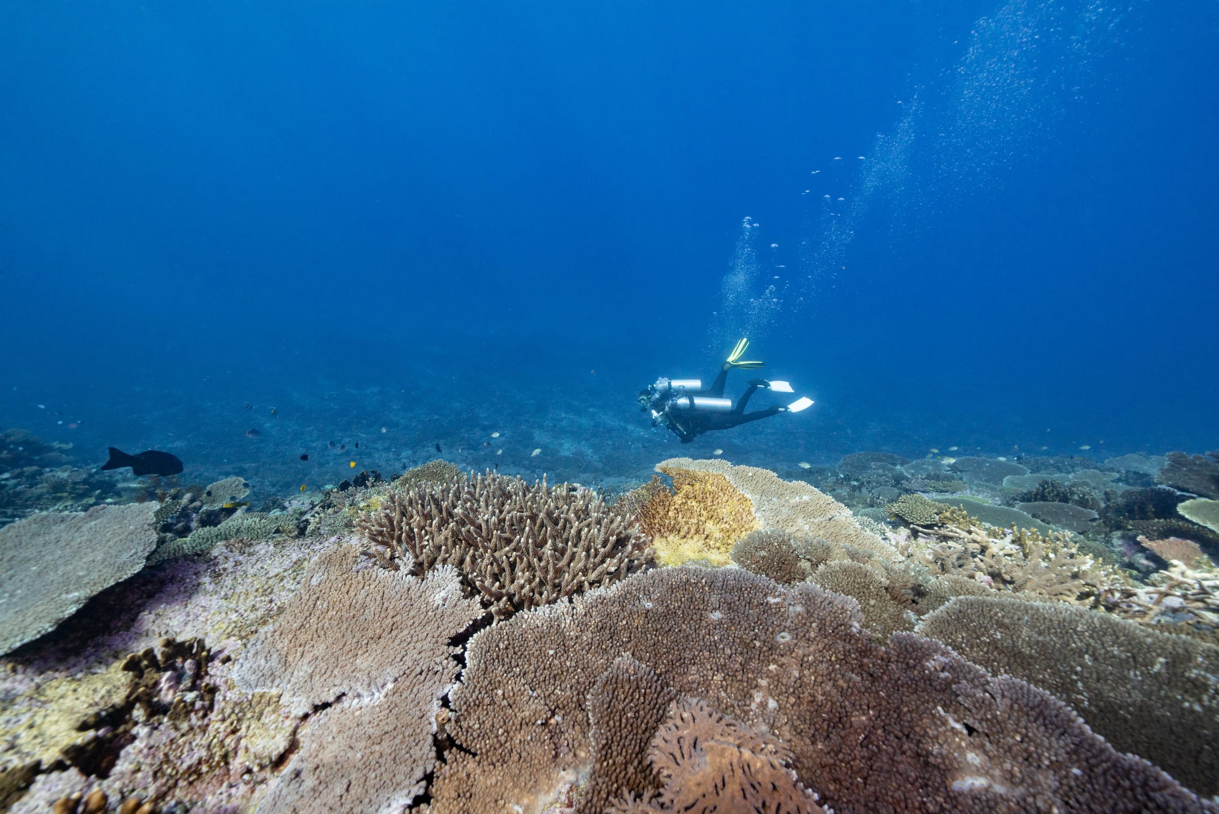 3-Day Bundaberg Itinerary: Turtles, Reef and Rum