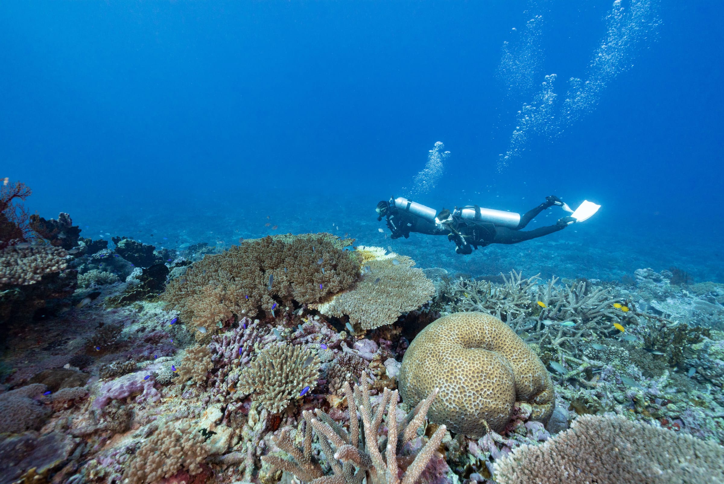 5-Day Bundaberg and Coral Coast Itinerary