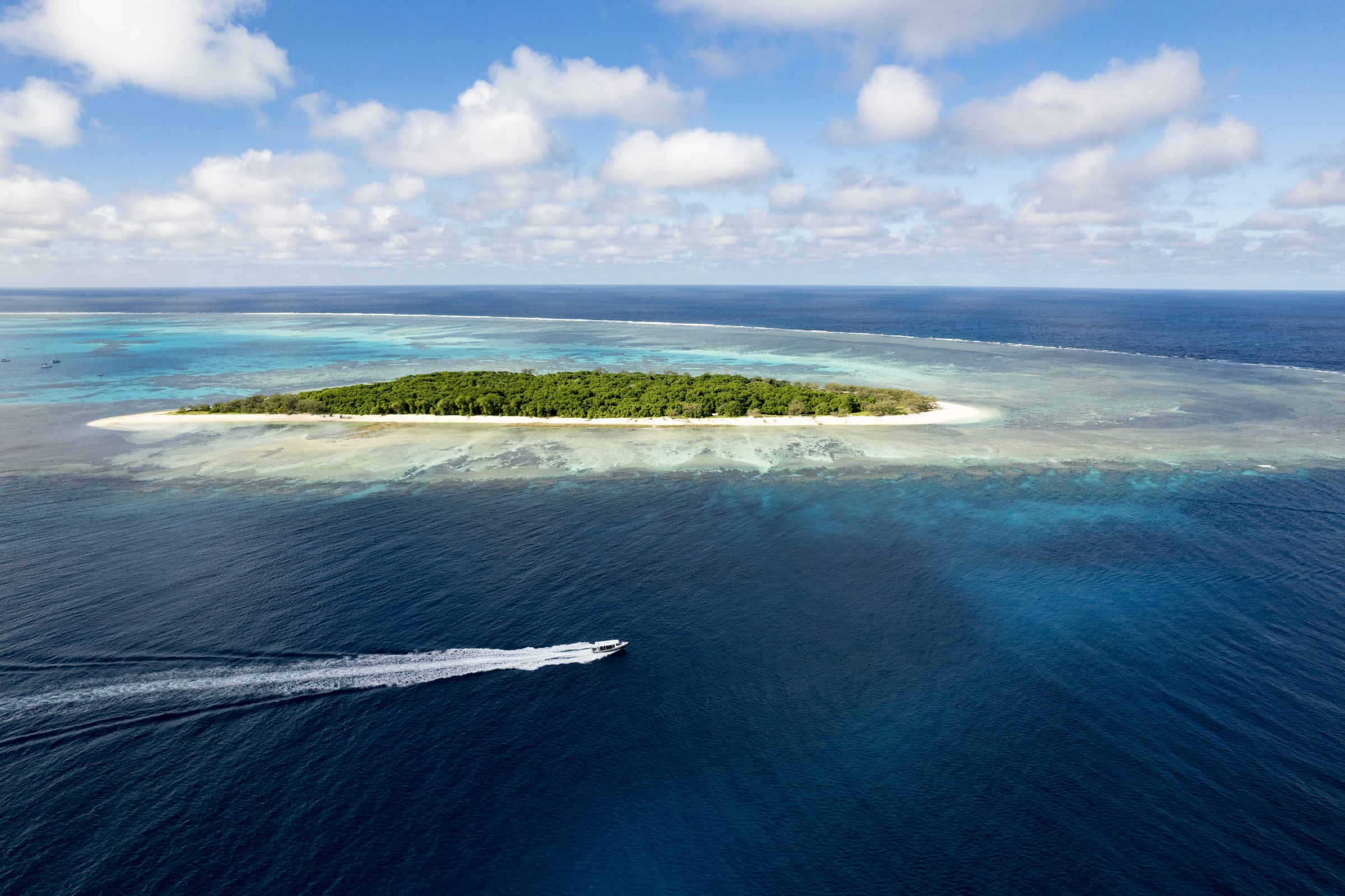 Great Barrier Reef from Bundaberg: Lady Musgrave and Lady Elliot Guide