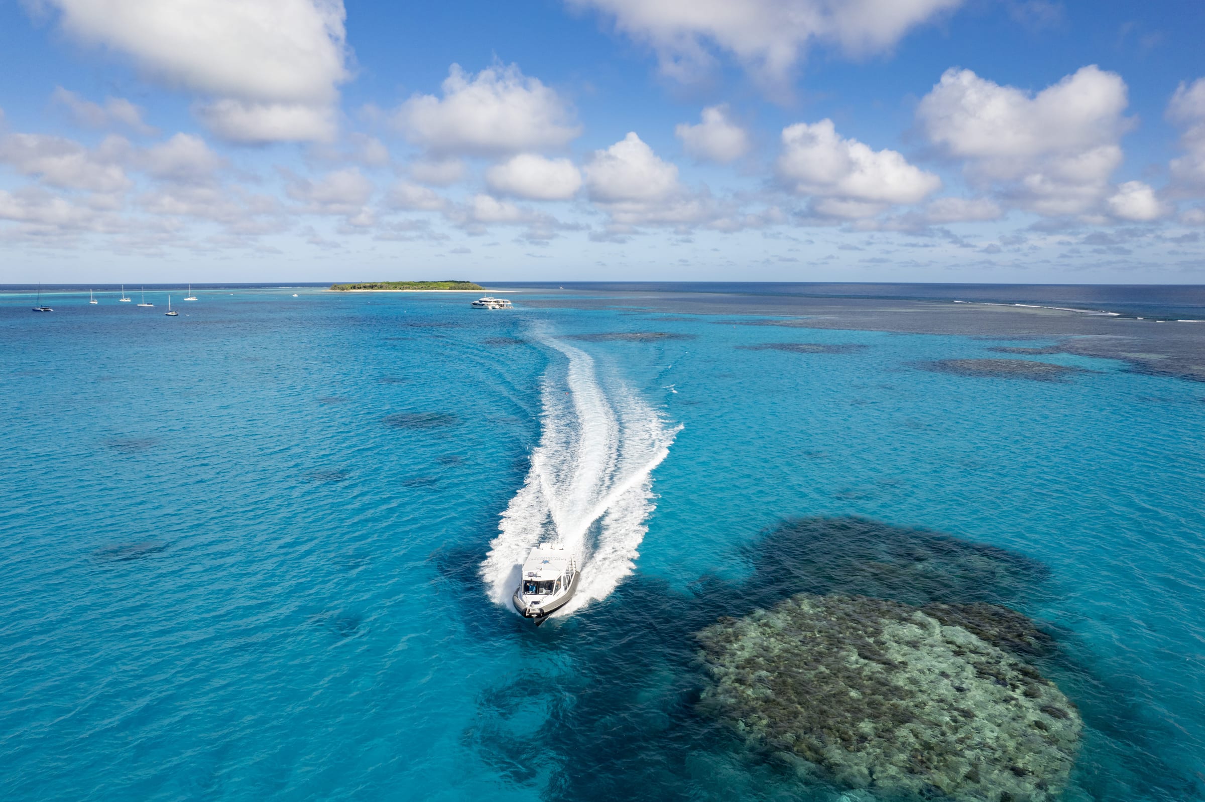 Lady Musgrave Island: Complete Day Trip Guide from Bundaberg